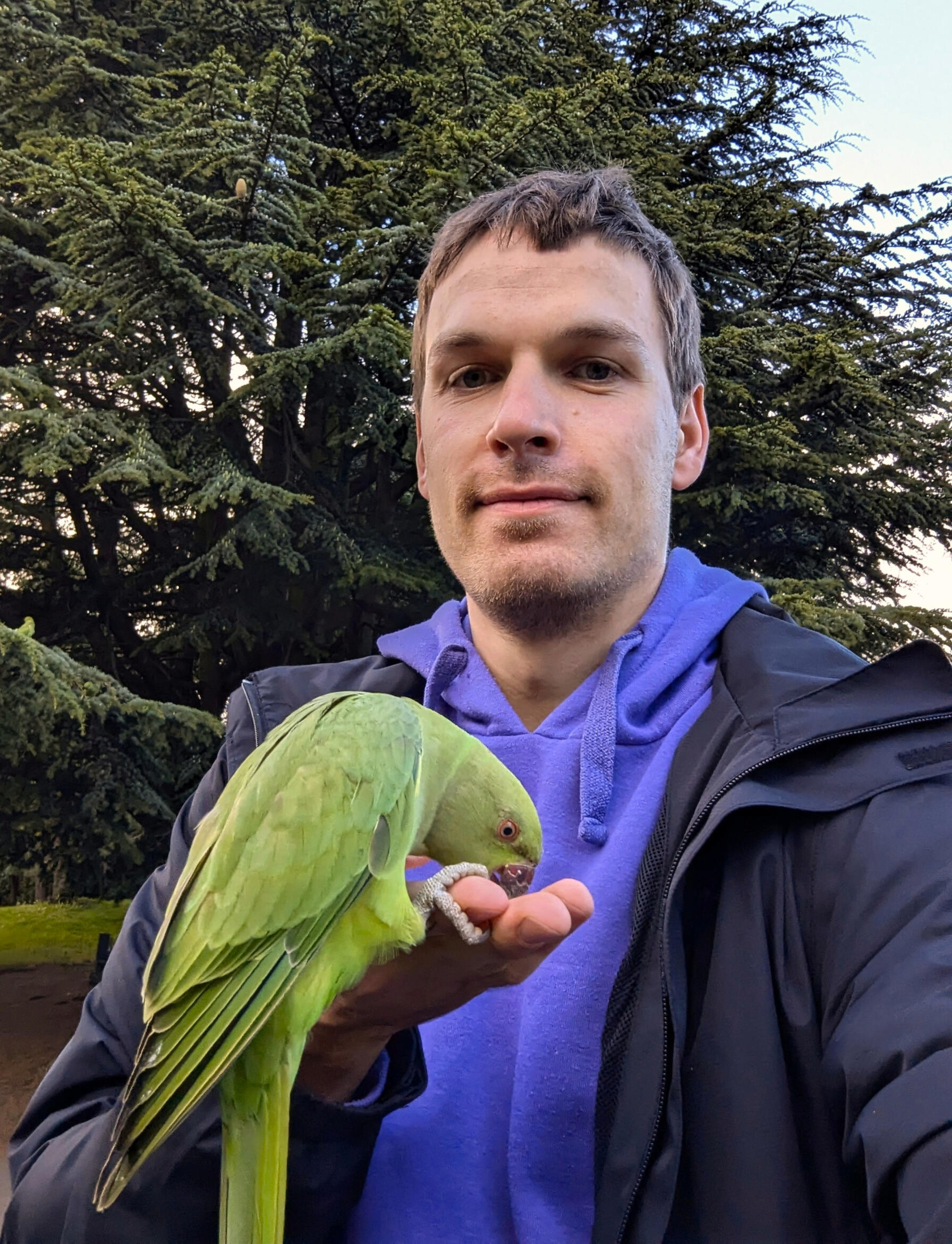 Я — живой человек, не гуру. Коуч держит зелёного попугая на руке. Живой, открытый контакт без масок.